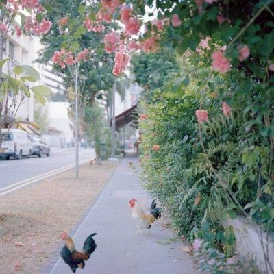 竞彩足球app官方下载手机版